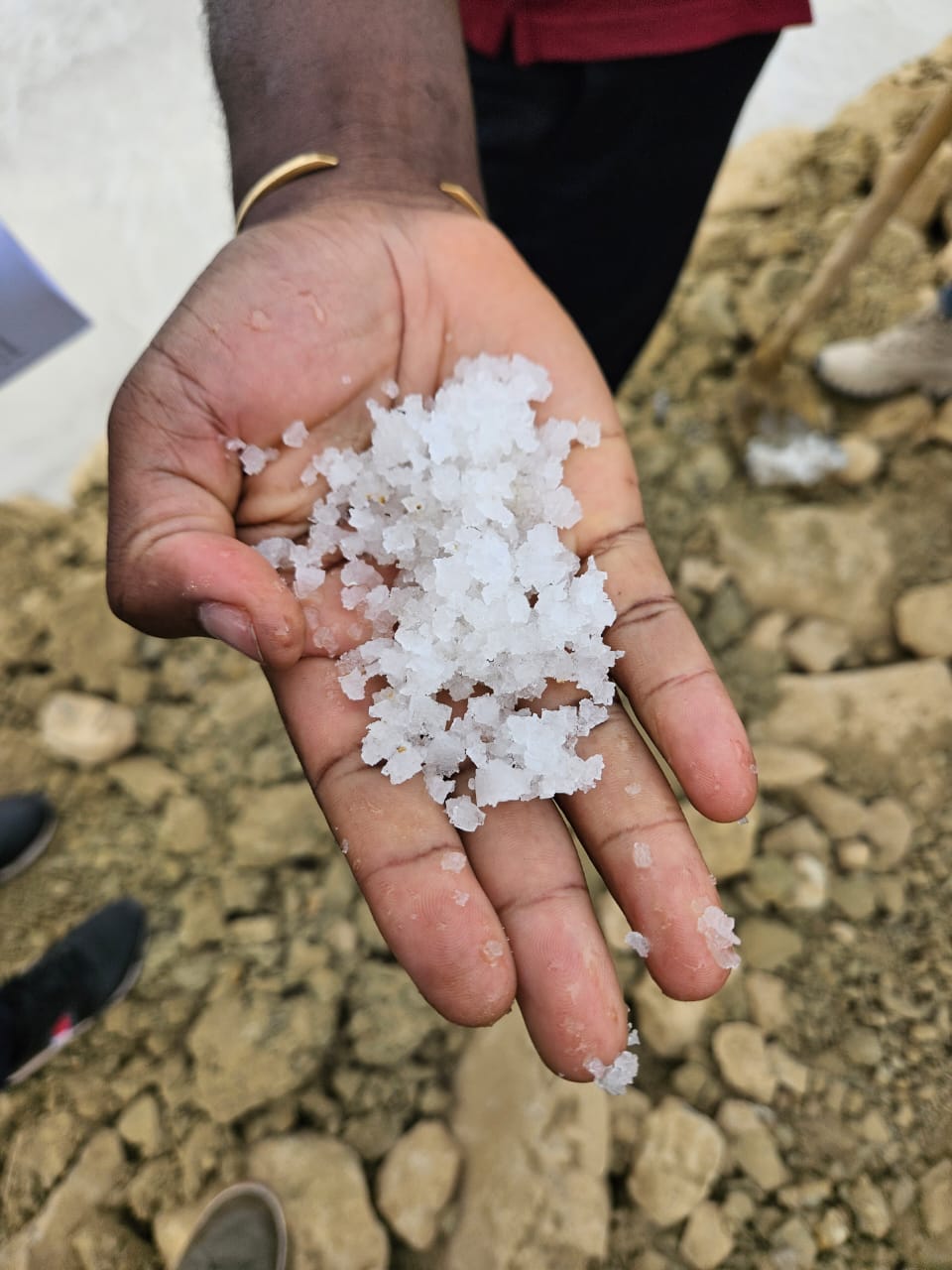 Imagem WhatsApp 2023-10-13 às 16.45.00_0444c5f7